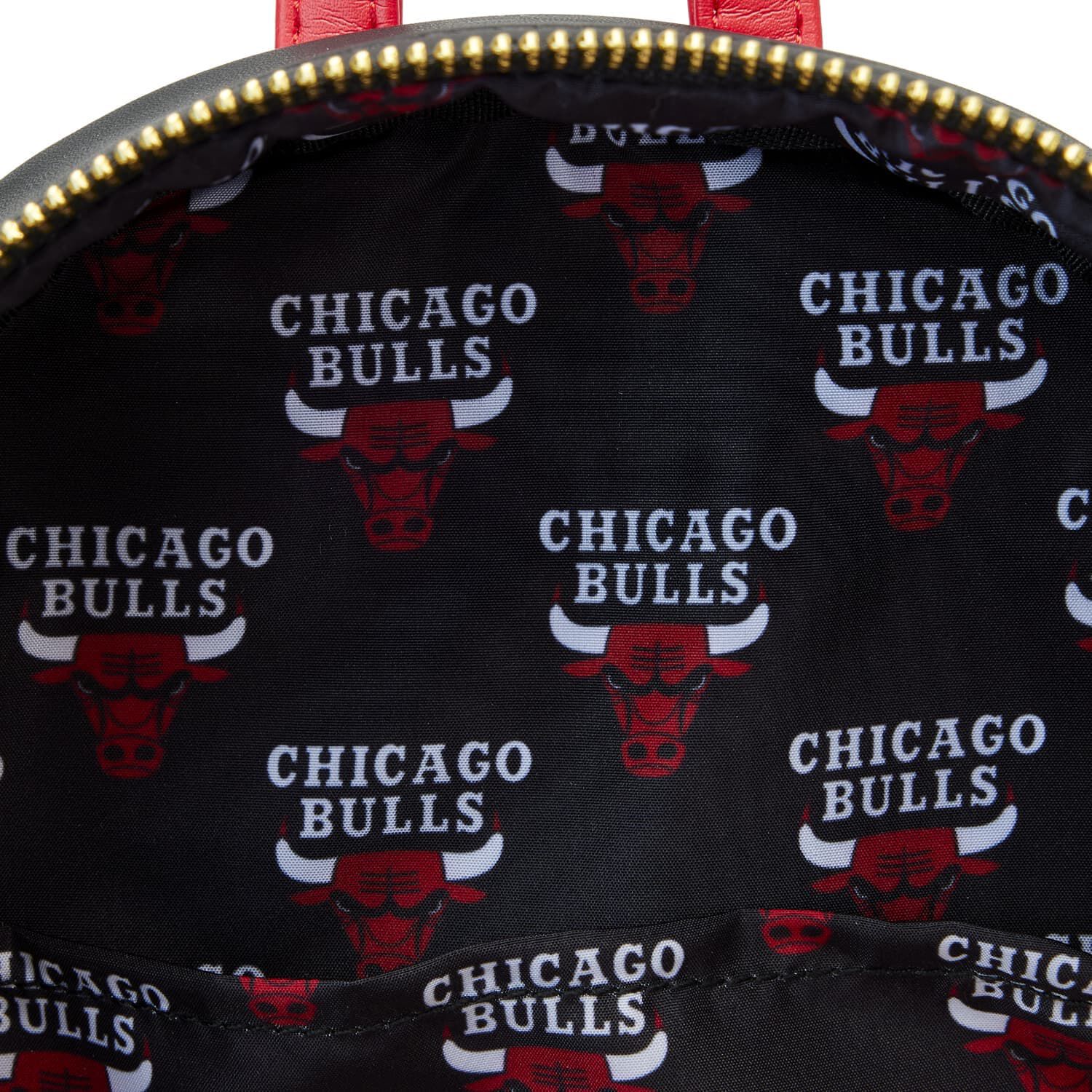 NBABK0021-LFNBACHICAGOBULLSPATCHICONSMINIBACKPACK0516INSIDE_jpg