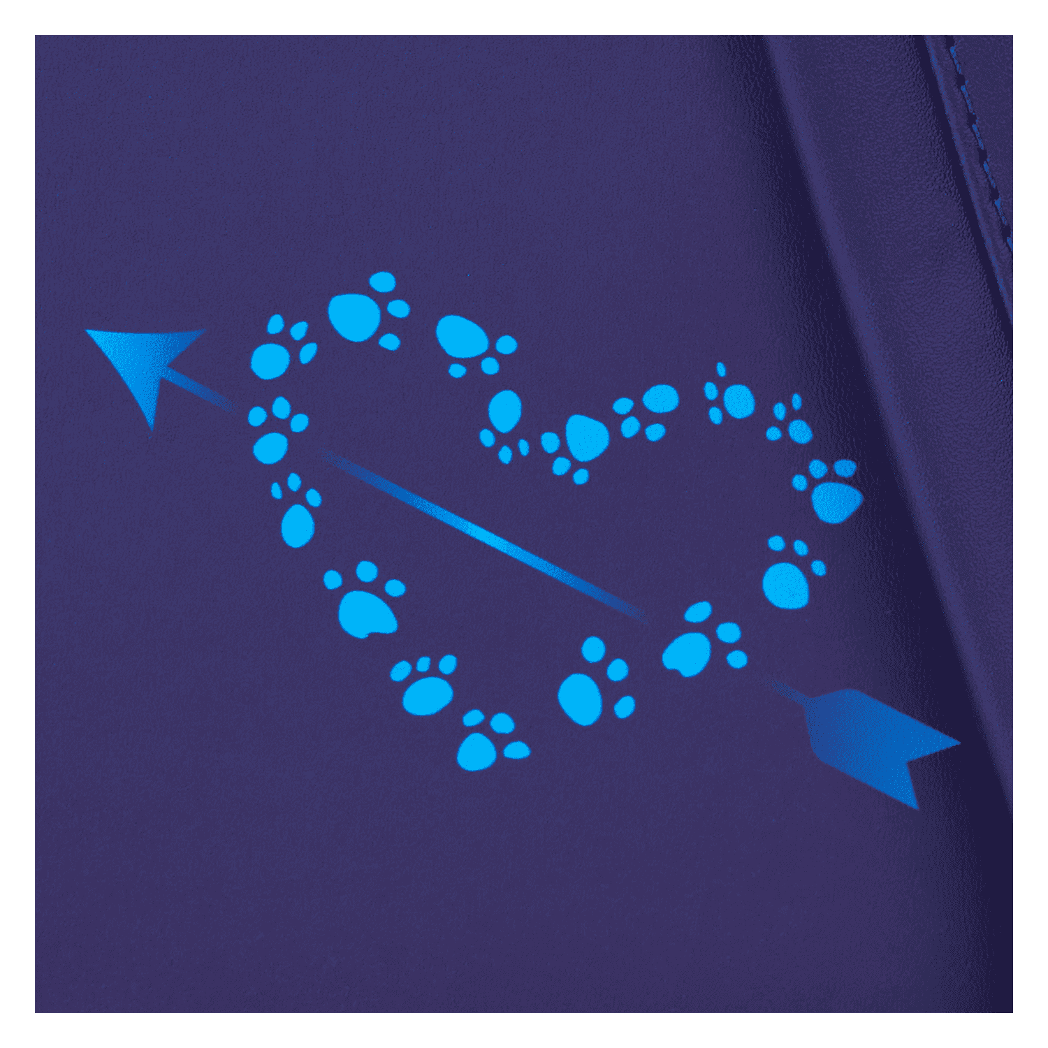 WDBK3875-LFDISNEYLADYANDTHETRAMPMINIBACKPACK-0002_png