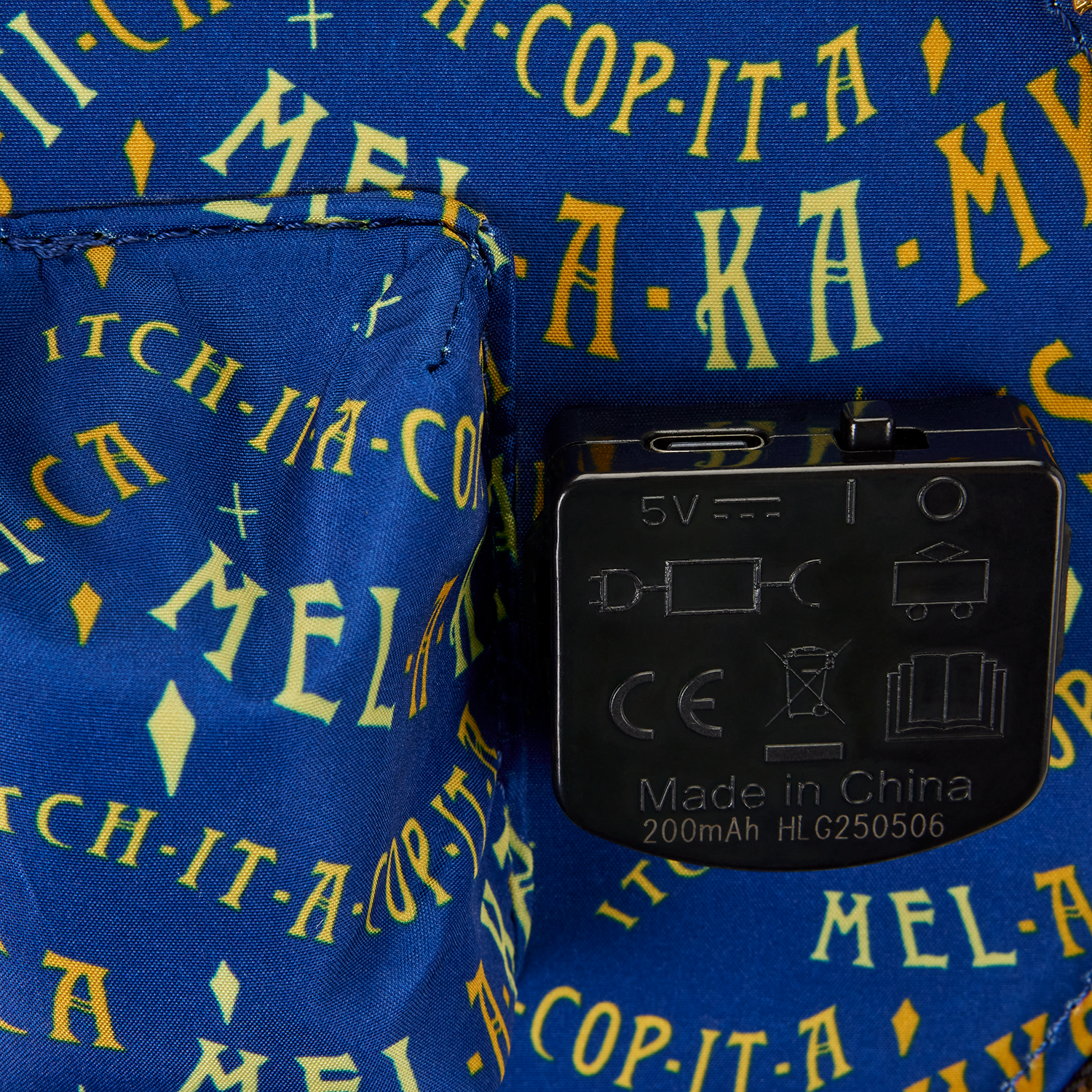 WDTB3344-LFDISNEYHOCUSPOCUSFLYINGSISTERSDOMEC_53_png